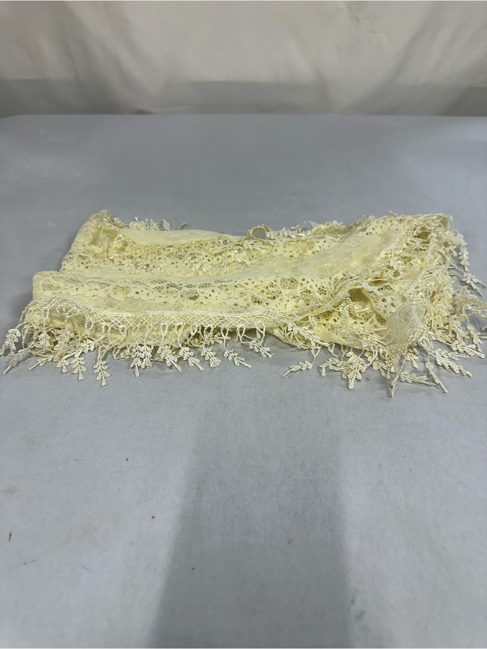 Vintage Beige Scarf with Fringe